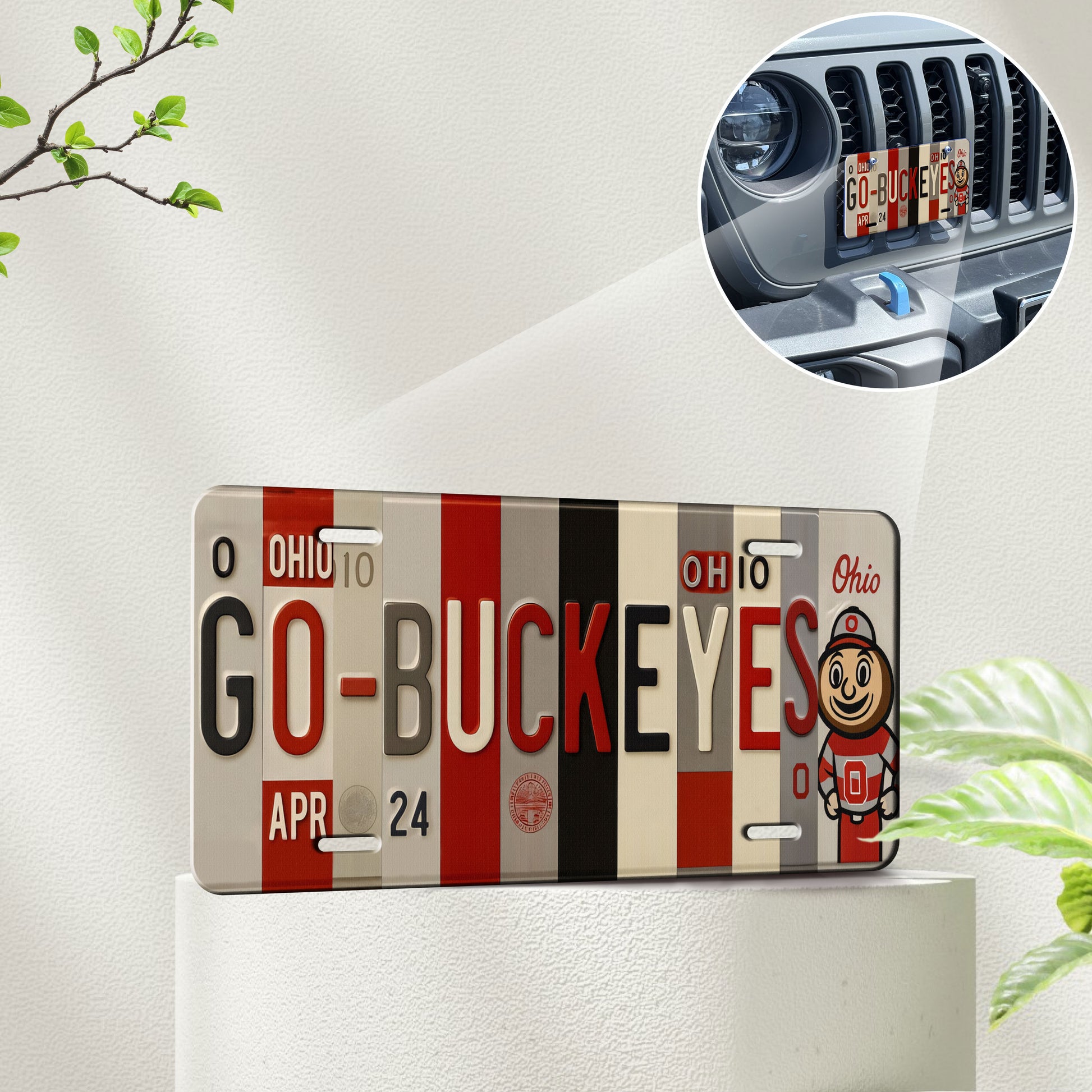 Ohio State Buckeyes Vanity License Plate